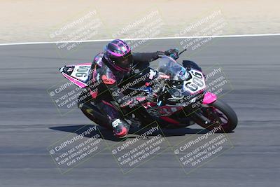 media/Apr-09-2023-SoCal Trackdays (Sun) [[333f347954]]/Turn 12 Inside (930am)/